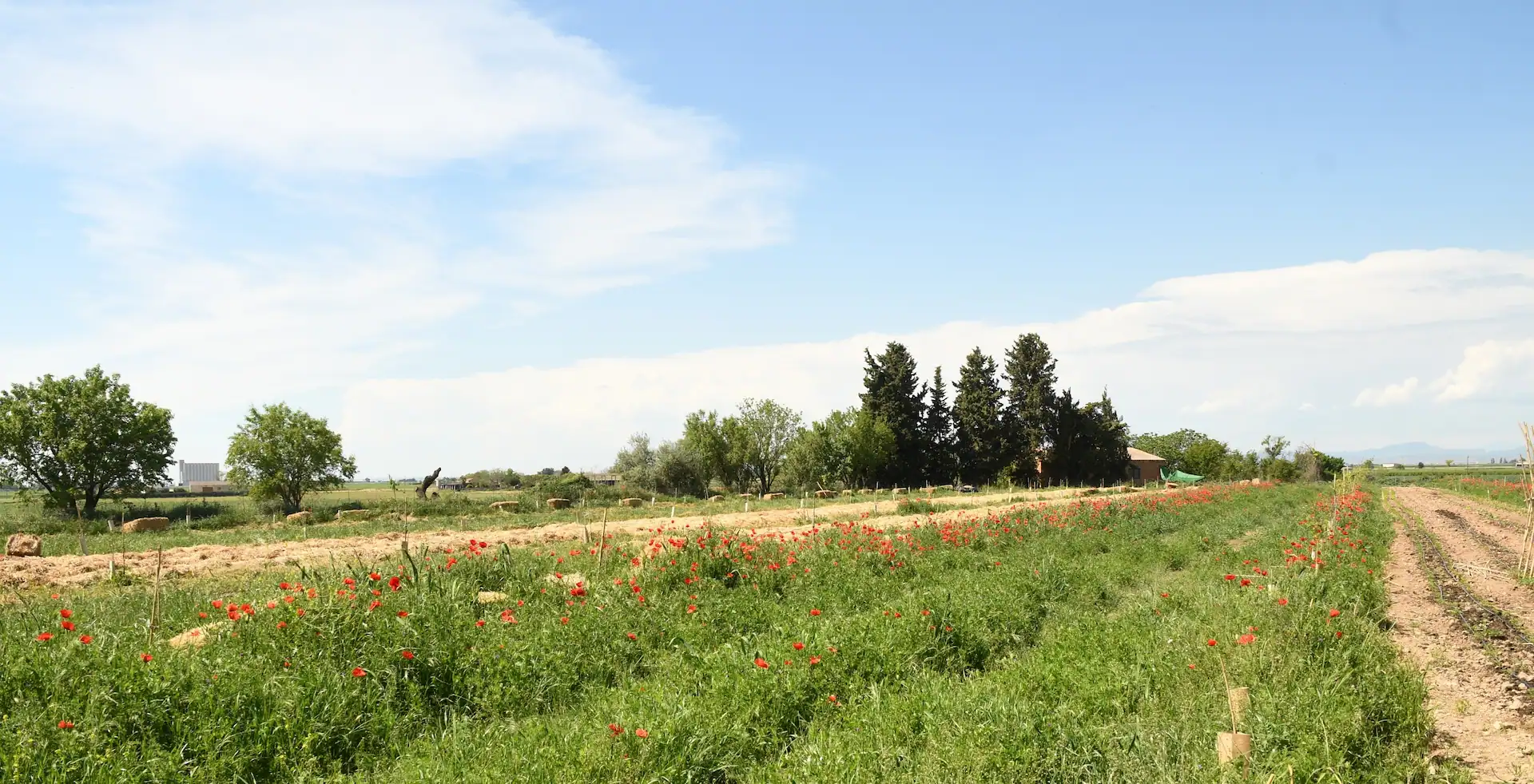 Camp d'auró - productes
