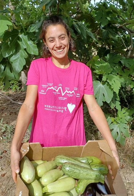 Marta, camp d'Auró